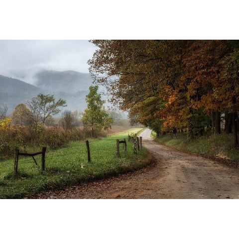 Cove Lane IV White Modern Wood Framed Art Print by Head, Danny