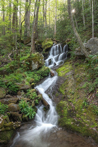 Woven Silk I White Modern Wood Framed Art Print with Double Matting by Head, Danny