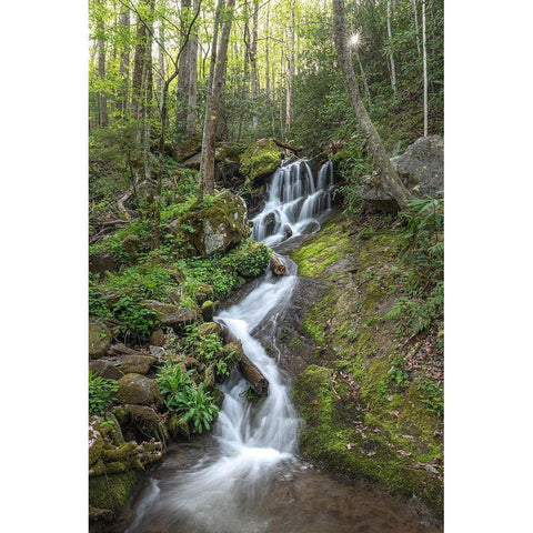 Woven Silk I Black Modern Wood Framed Art Print with Double Matting by Head, Danny