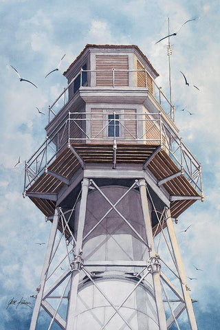 Hilton Head Rear Range - N.C. White Modern Wood Framed Art Print with Double Matting by Rizzo, Gene