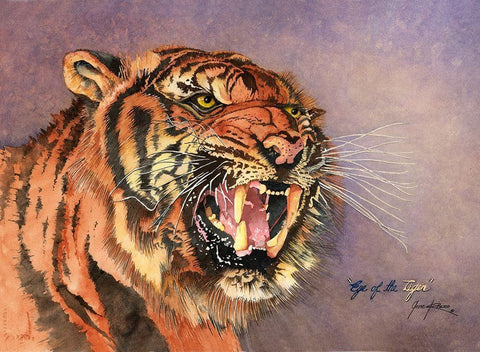 Eye Of The Tiger White Modern Wood Framed Art Print with Double Matting by Rizzo, Gene