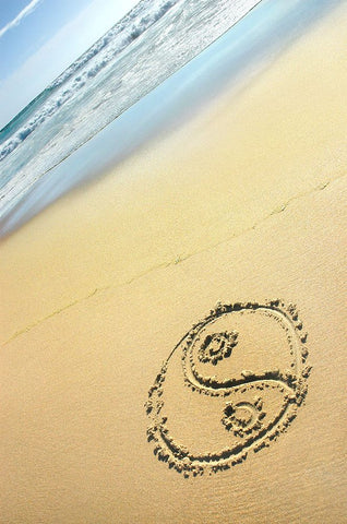 Yin and Yan Black Ornate Wood Framed Art Print with Double Matting by Heine, Ben