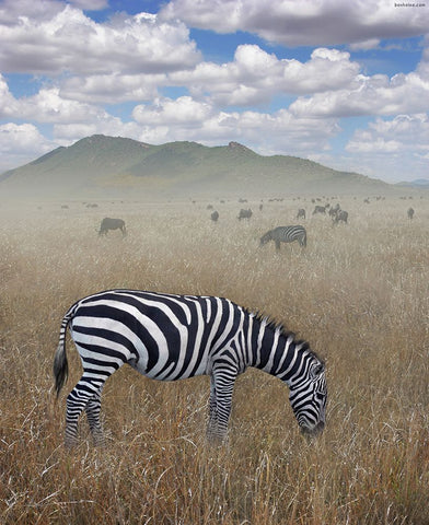 Once Upon a Time in Kenya - 1 Black Ornate Wood Framed Art Print with Double Matting by Heine, Ben