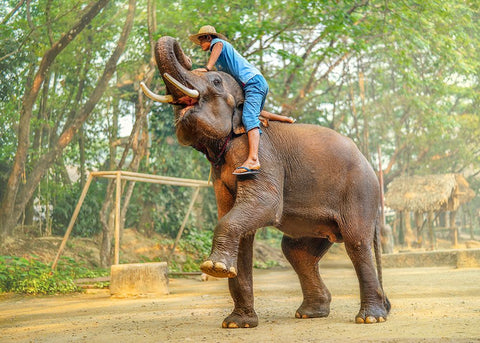 Thailand - 259 White Modern Wood Framed Art Print with Double Matting by Heine, Ben