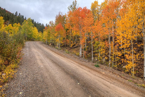The Road To Color Black Ornate Wood Framed Art Print with Double Matting by Sherrell, Bill