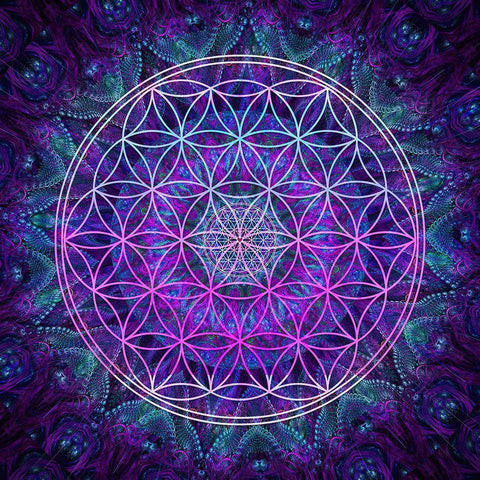 Flower Of Life Gold Ornate Wood Framed Art Print with Double Matting by Gray, Cameron