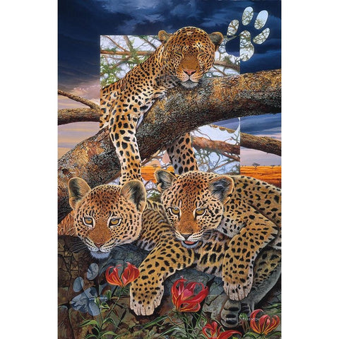 A Mothers Dream White Modern Wood Framed Art Print by Stevenson, Graeme