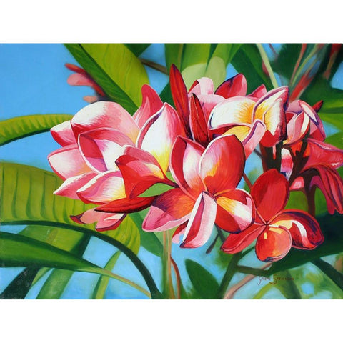 Frangipani Days White Modern Wood Framed Art Print by Stevenson, Graeme