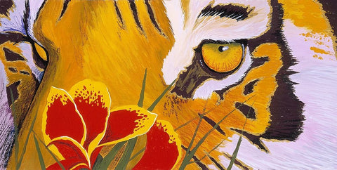 Tiger Eye White Modern Wood Framed Art Print with Double Matting by Stevenson, Graeme