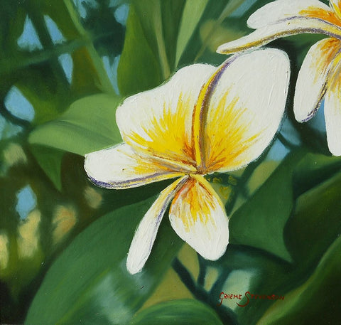 Whate Frn White Modern Wood Framed Art Print with Double Matting by Stevenson, Graeme