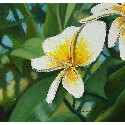 Whate Frn Black Modern Wood Framed Art Print by Stevenson, Graeme