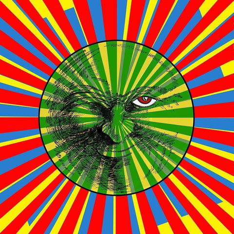 A Wink and a Nod White Modern Wood Framed Art Print by Green, Howie