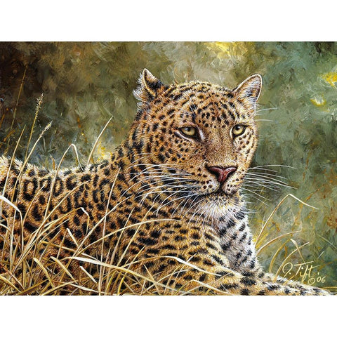 Leopard Portrait Gold Ornate Wood Framed Art Print with Double Matting by Tift, Jeff