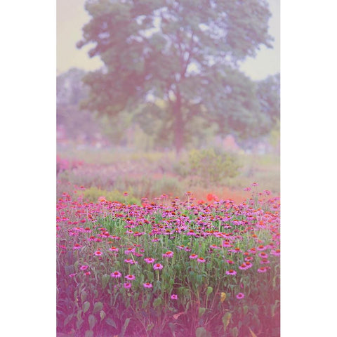Monet Spring Black Modern Wood Framed Art Print with Double Matting by Jenny Rainbow Fine Art