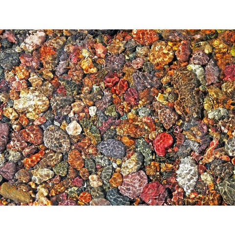 River Rocks Black Modern Wood Framed Art Print with Double Matting by Schell, Jennie Marie