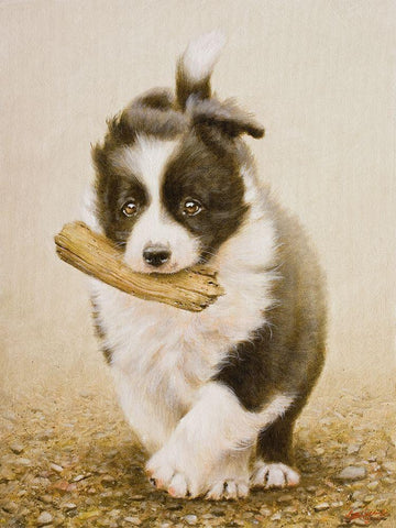 222 White Modern Wood Framed Art Print with Double Matting by Silver, John