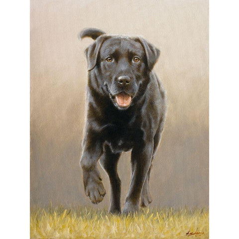 234 Black Modern Wood Framed Art Print with Double Matting by Silver, John