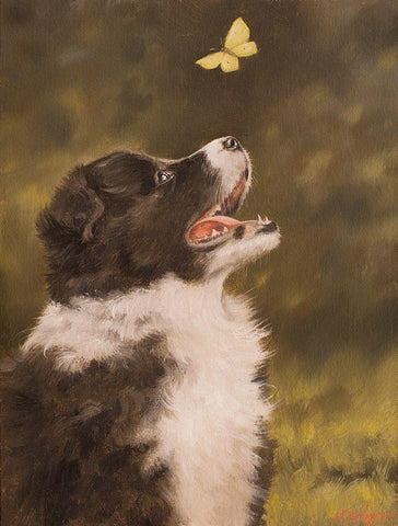 306 White Modern Wood Framed Art Print with Double Matting by Silver, John