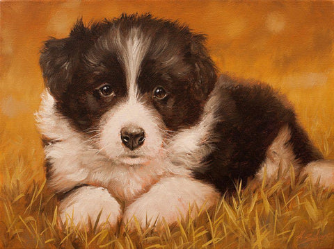 308 White Modern Wood Framed Art Print with Double Matting by Silver, John