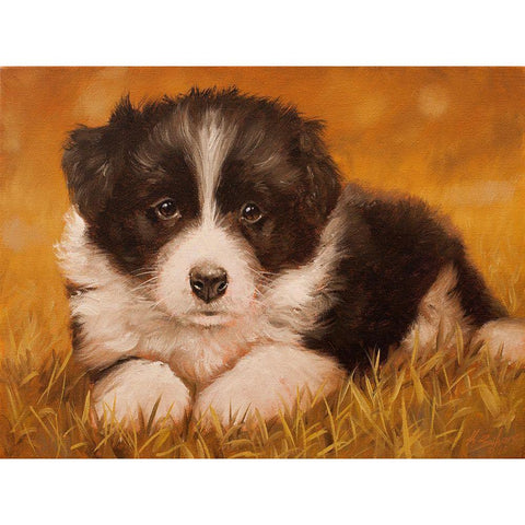 308 White Modern Wood Framed Art Print by Silver, John