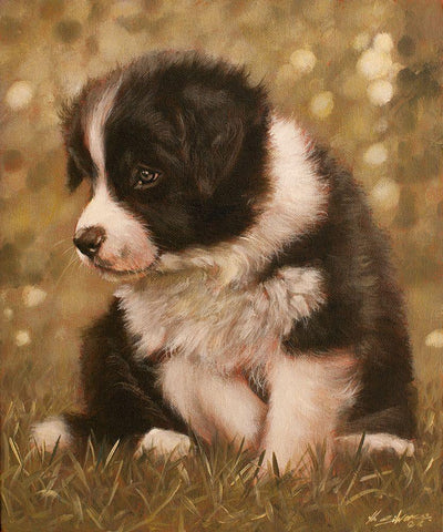 311 White Modern Wood Framed Art Print with Double Matting by Silver, John