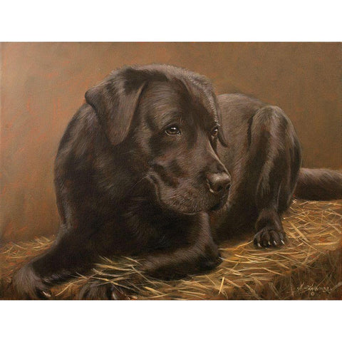 312 Gold Ornate Wood Framed Art Print with Double Matting by Silver, John