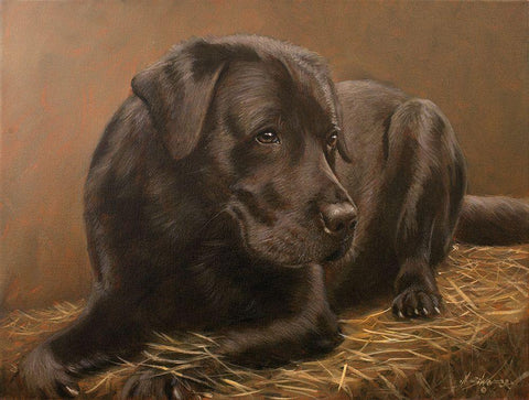 312 Black Ornate Wood Framed Art Print with Double Matting by Silver, John