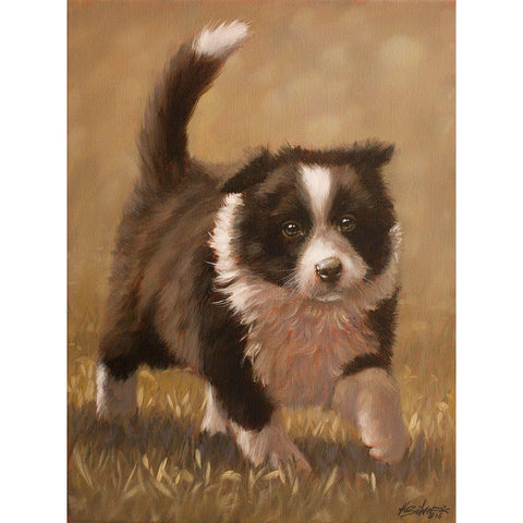 317 Black Modern Wood Framed Art Print with Double Matting by Silver, John