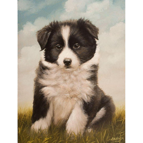 325 Black Modern Wood Framed Art Print with Double Matting by Silver, John