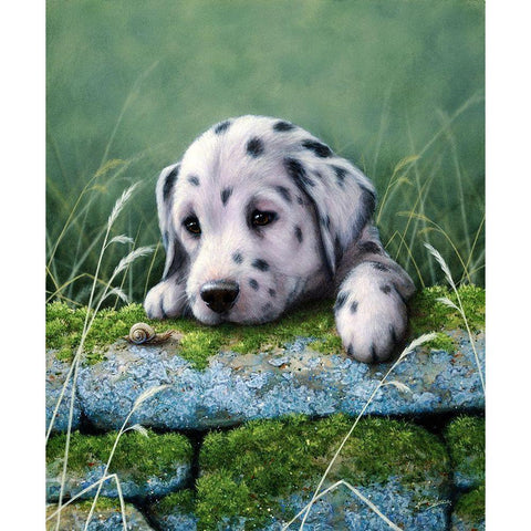 Js86-B Black Modern Wood Framed Art Print with Double Matting by Silver, John