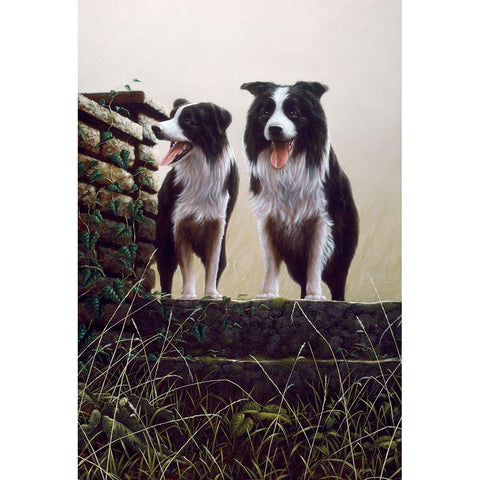 Js49-A Black Modern Wood Framed Art Print by Silver, John