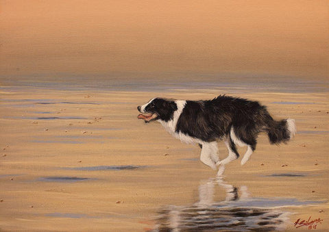 336 Black Ornate Wood Framed Art Print with Double Matting by Silver, John