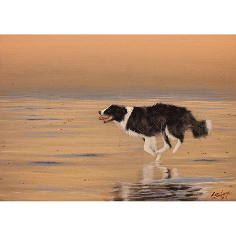 336 Black Modern Wood Framed Art Print by Silver, John