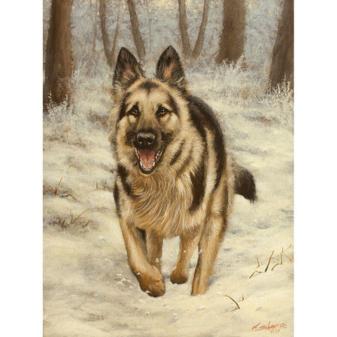 339 Black Modern Wood Framed Art Print by Silver, John