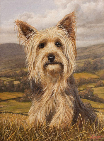 343 Black Ornate Wood Framed Art Print with Double Matting by Silver, John