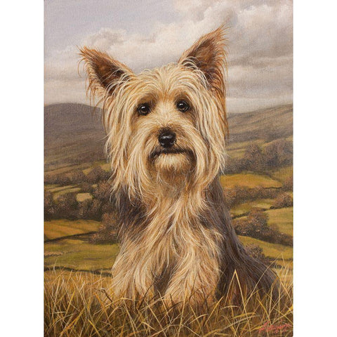 343 Black Modern Wood Framed Art Print by Silver, John