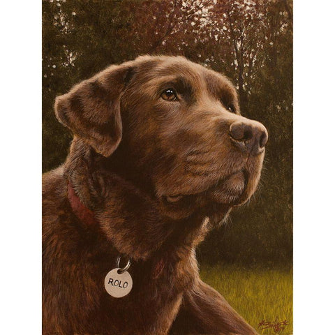 345 White Modern Wood Framed Art Print by Silver, John