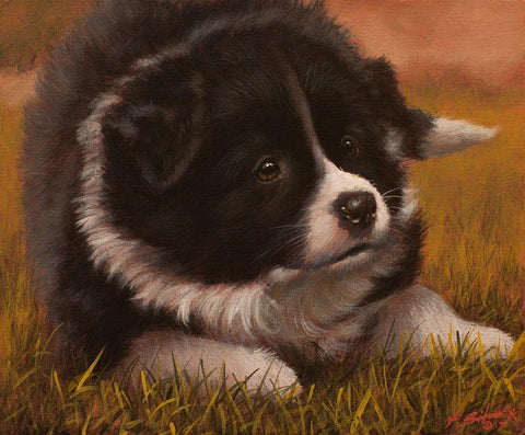 347 White Modern Wood Framed Art Print with Double Matting by Silver, John