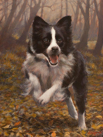 350 White Modern Wood Framed Art Print with Double Matting by Silver, John