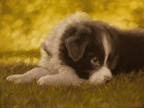 351 Black Ornate Wood Framed Art Print with Double Matting by Silver, John