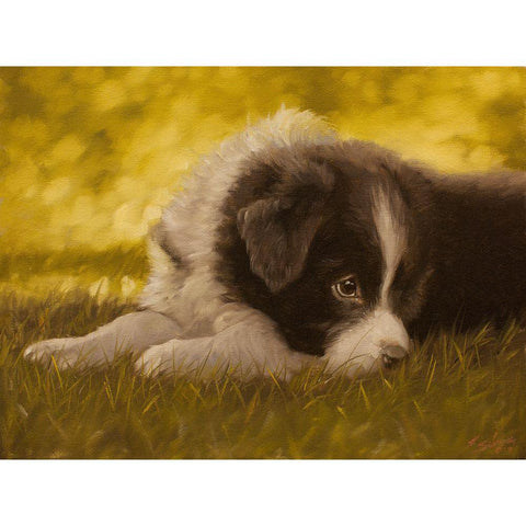 351 White Modern Wood Framed Art Print by Silver, John