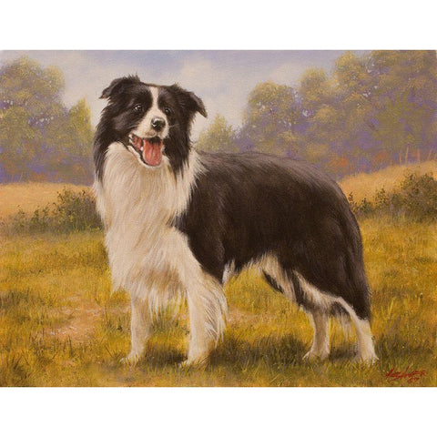 352 Black Modern Wood Framed Art Print with Double Matting by Silver, John