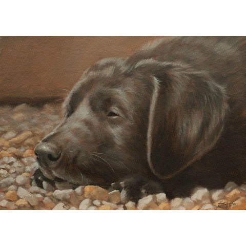 554a Gold Ornate Wood Framed Art Print with Double Matting by Silver, John