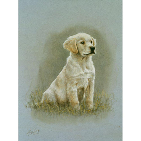 Jsm2-A Black Modern Wood Framed Art Print with Double Matting by Silver, John