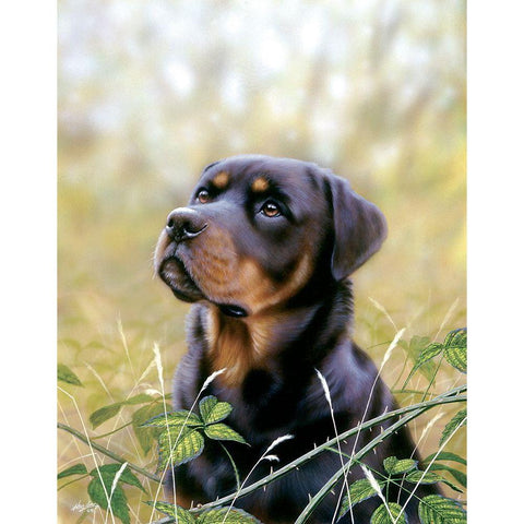 Spirit Of Loyalty Black Modern Wood Framed Art Print by Silver, John