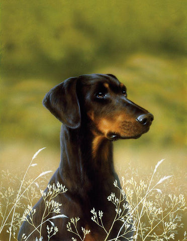 101-A White Modern Wood Framed Art Print with Double Matting by Silver, John