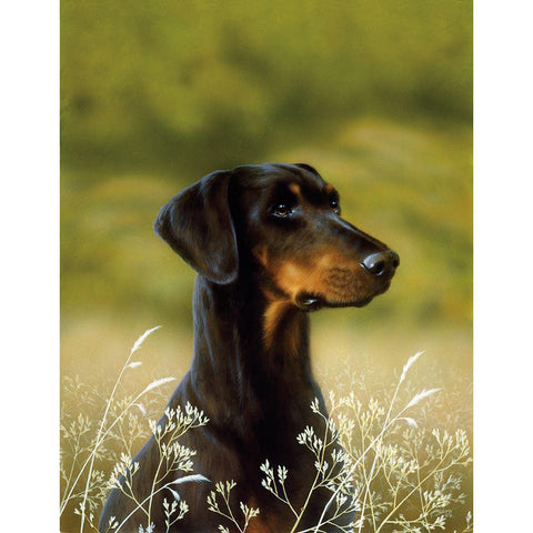 101-A Black Modern Wood Framed Art Print by Silver, John