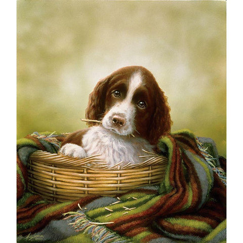 20-B Black Modern Wood Framed Art Print with Double Matting by Silver, John