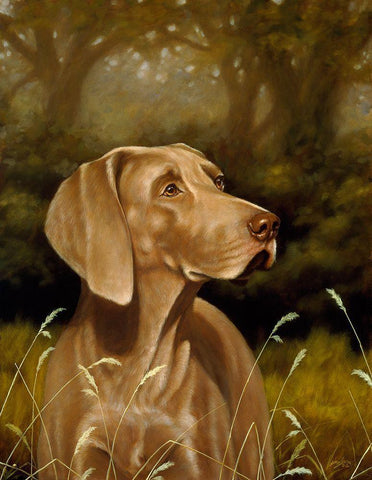 Js110-A Black Ornate Wood Framed Art Print with Double Matting by Silver, John