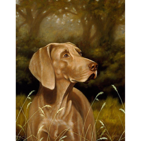 Js110-A Black Modern Wood Framed Art Print by Silver, John